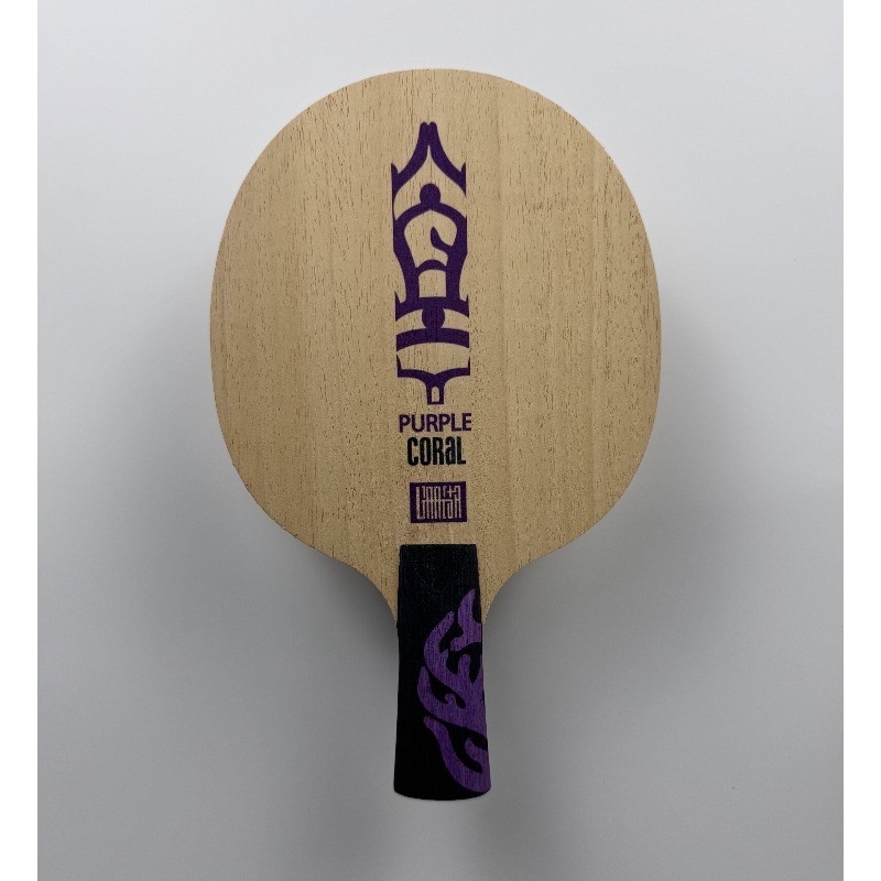 Rakietka do tenisa stołowego M – Table Tennis Racket recenzja i cena