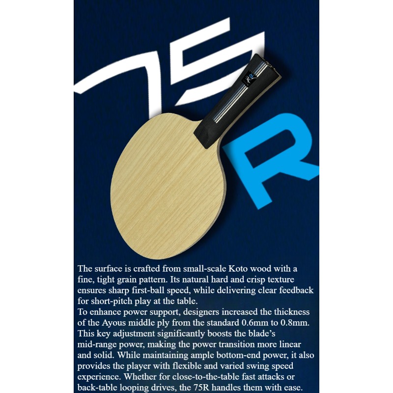 SANWEI 75R 5+2 Outer H-GLC Des – Table Tennis Paddles recenzja i cena
